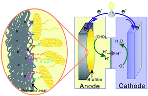 Graphical abstract: Electrocatalysis in microbial fuel cells—from electrode material to direct electrochemistry