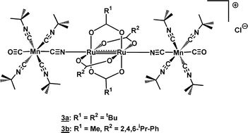 Graphical abstract: Intramolecular electron transfer in cyanide bridged adducts comprising RuII/RuIII tetracarboxylate and [MnI(CO)(CN)(tBuNC)4] units
