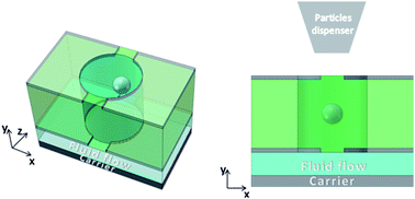 Graphical abstract: Horizontal nDEP cages within open microwell arrays for precise positioning of cells and particles