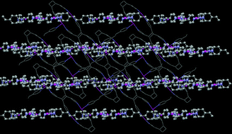 Graphical abstract: Regiocontrolled [2 + 2] photodimerization of CdII metal complexes in both solution and solid state