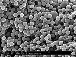 Graphical abstract: Cross-linked polyethylene@silica: the first full interpenetrating network hybrid particles