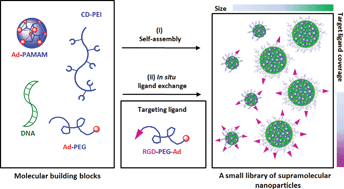 Graphical abstract: A small library of DNA-encapsulated supramolecular nanoparticles for targeted gene delivery