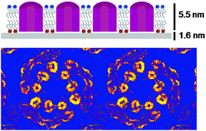 Graphical abstract: Ultrathin conductive carbon nanomembranes as support films for structural analysis of biological specimens