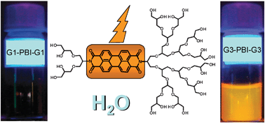 Graphical abstract: Highly fluorescent water-soluble polyglycerol-dendronized perylene bisimide dyes