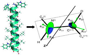 Graphical abstract: Modelling the influence of hydrogen bond network on chemical shielding tensors description. GIAO-DFT study of WALP23 transmembrane α-helix as a test case