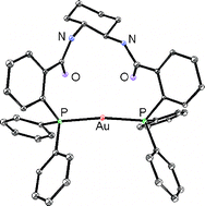 Graphical abstract: A chiral diphosphine as trans-chelate ligand and its relevance to catalysis