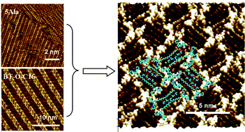 Graphical abstract: Molecularly tuned peptide assemblies at the liquid–solid interface studied by scanning tunneling microscopy