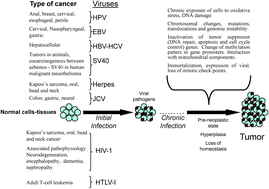 Graphical abstract: Viral-induced human carcinogenesis: an oxidative stress perspective