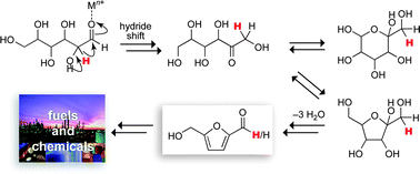 Graphical abstract: Mechanistic insights on the conversion of sugars into 5-hydroxymethylfurfural