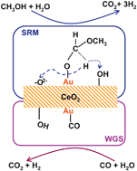 Graphical abstract: Active gold species on cerium oxide nanoshapes for methanol steam reforming and the water gas shift reactions