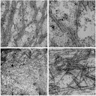 Graphical abstract: Extended one-dimensional self-assemblies of nanoparticles; nano-rouleaux formations