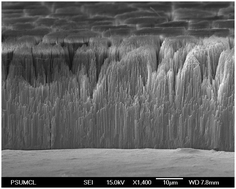 Graphical abstract: Synthesis and applications of electrochemically self-assembled titania nanotube arrays