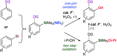 Graphical abstract: Arylsilane oxidation—new routes to hydroxylated aromatics