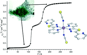 Graphical abstract: Two-step spin crossover in the mononuclear iron(ii) complex [FeII(L)2(NCS)2] (L = 2,5-di-(2-pyridyl)-1,3,4-thiadiazole)