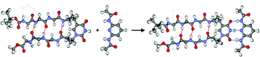 Graphical abstract: Design, synthesis, and complementary recognition of β-hairpin peptides stabilized by artificial DNA base-pairing amino acids