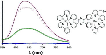 Graphical abstract: Differentiating quadruplexes: binding preferences of a luminescent dinuclear ruthenium(ii) complex with four-stranded DNA structures