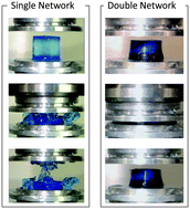 Graphical abstract: Why are double network hydrogels so tough?