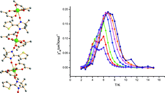 Graphical abstract: Dynamic magnetic behavior and magnetic ordering in one-dimensional Tb-nitronyl nitroxide radical chain