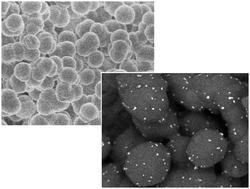 Graphical abstract: Hybrid porous material produced by polymerization-induced phase separation