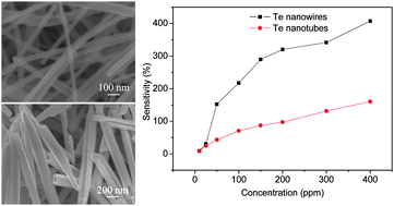 Graphical abstract: Formation of single-crystal tellurium nanowires and nanotubes via hydrothermal recrystallization and their gas sensing properties at room temperature