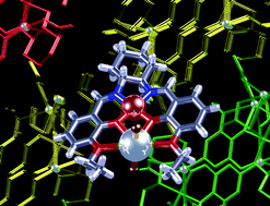 Graphical abstract: Amalgamating metalloligands with coordination networks