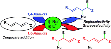 Graphical abstract: Conjugate addition reactions of carbon nucleophiles to electron-deficient dienes