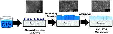 Graphical abstract: HKUST-1 membranes on porous supports using secondary growth