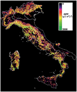 Graphical abstract: Assessment of forest net primary production through the elaboration of multisource ground and remote sensing data