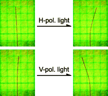 Graphical abstract: Direction control of photomechanical bending of a photochromic molecular fiber