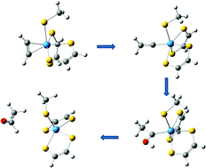 Graphical abstract: A DFT study of the possible role of vinylidene and carbene intermediates in the mechanism of the enzyme acetylene hydratase