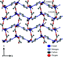 Graphical abstract: A 2D cobalt based coordination polymer constructed from benzimidazole and acetate ion exhibiting spin-canted antiferromagnetism