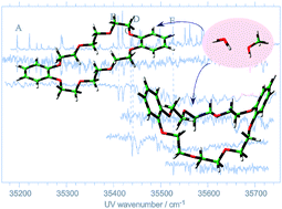 Graphical abstract: Laser spectroscopic study on (dibenzo-24-crown-8-ether)–water and –methanol complexes in supersonic jets