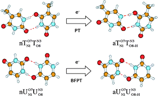 Graphical abstract: Photoelectron spectroscopy of homogeneous nucleic acid base dimer anions