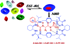 Graphical abstract: Molecular recognition of N-protected dipeptides by pseudopeptidic macrocycles: a comparative study of the supramolecular complexes by ESI-MS and NMR