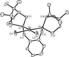 Graphical abstract: Synthesis of (1R,4S,6R)-5,5,6-trimethyl-2-phosphabicyclo[2.2.2]octane and derivatives