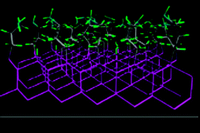 Graphical abstract: Parameterization and validation of an accurate force-field for the simulation of alkylamine functionalized silicon (111) surfaces