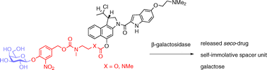 Graphical abstract: Synthesis of the first spacer containing prodrug of a duocarmycin analogue and determination of its biological activity