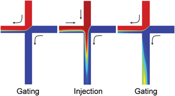 Graphical abstract: Hydrodynamic gating for sample introduction on a microfluidic chip