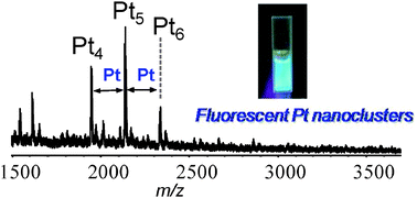 Graphical abstract: Surfactant-free solution synthesis of fluorescent platinum subnanoclusters