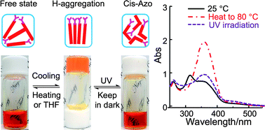 Graphical abstract: Multiresponsive reversible gels based on a carboxylic azo polymer