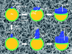 Graphical abstract: Crystal growth of Si nanowires and formation of longitudinal planar defects