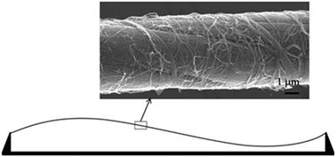 Graphical abstract: Oscillation induced worm-like locomotion of carbon nanotubes