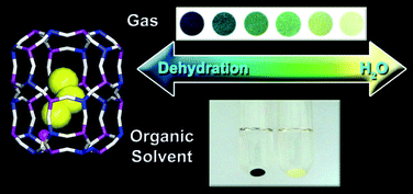 Graphical abstract: Sensor material based on occluded trisulfur anionic radicals for convenient detection of trace amounts of water molecules