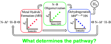 Graphical abstract: Rules and trends of metal cation driven hydride-transfer mechanisms in metal amidoboranes