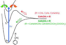 Graphical abstract: Photostability of amino acids: photodissociation dynamics of phenylalanine chromophores