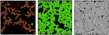 Graphical abstract: Equation of state of surface-adsorbing colloids