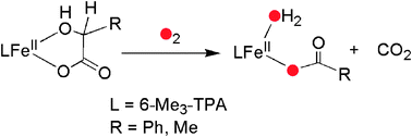 Graphical abstract: Oxidative decarboxylation of α-hydroxy acids by a functional model of the nonheme iron oxygenase, CloR