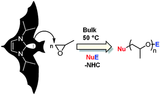 Graphical abstract: Metal-free and solvent-free access to α,ω-heterodifunctionalized poly(propylene oxide)s by N-heterocyclic carbene-induced ring opening polymerization