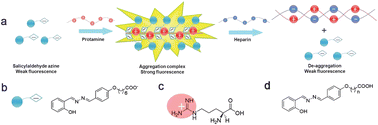 Graphical abstract: Fluorescence turn-on detection of protamine based on aggregation-induced emission enhancement characteristics of 4-(6′-carboxyl)hexyloxysalicylaldehyde azine