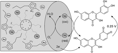 Graphical abstract: Sensor for fisetin based on gold nanoparticles in ionic liquid and binuclear nickel complex immobilized in silica